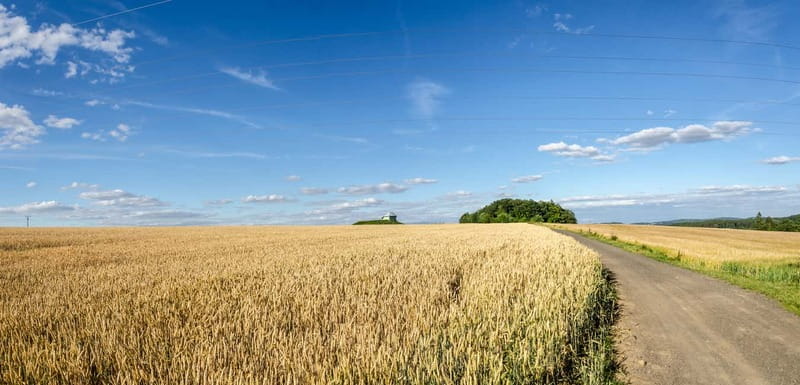 Self-Guided Bike Tour to Unetice Brewery - Key highlights you’ll feel on the pedals