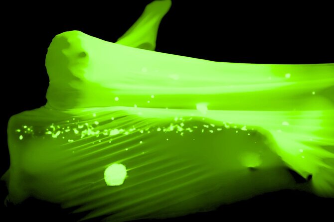 Underground Black Light Theatre Interactive Show in Prague - The one stop itinerary: HILT in a historic 50-seat space