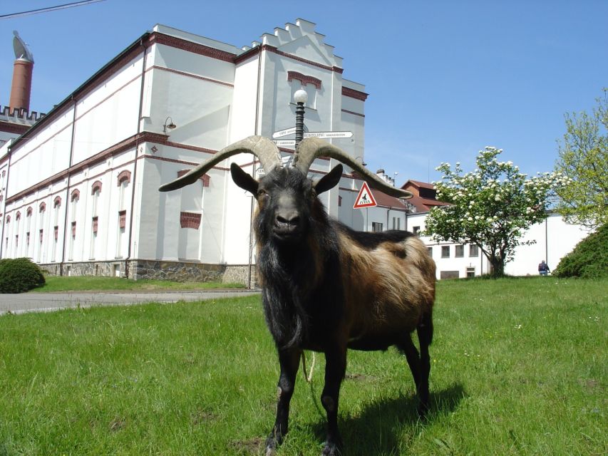 Velke Popovice: Kozel Brewery Tour with Beer Tasting - Velké Popovice: why this small stop is worth your time
