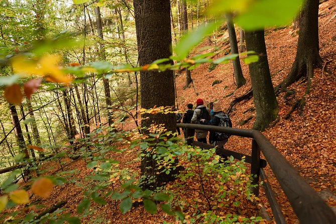 VIP Best Reviews: Bohemian & Saxon Switzerland from Prague - Price and value: where the $149.01 makes sense