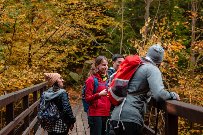 VIP Best Reviews: Bohemian & Saxon Switzerland from Prague - What to wear and how to prepare for real park conditions