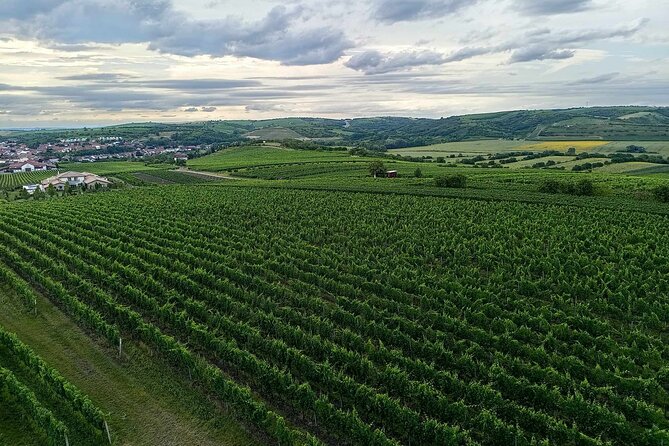 Wine Culture and UNESCO Gems Lednice Valtice Area and Mikulov - Mikulov’s baroque streets and Holy Hill viewpoints