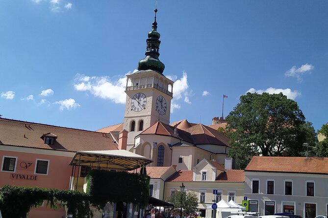 Wine Culture and UNESCO Gems Lednice Valtice Area and Mikulov - Velké Pavlovice and the Slunečná Lookout Tower grapevine design